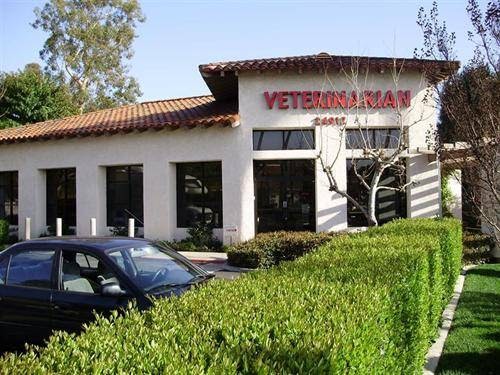 Inside Animal & Bird Clinic of Mission Viejo