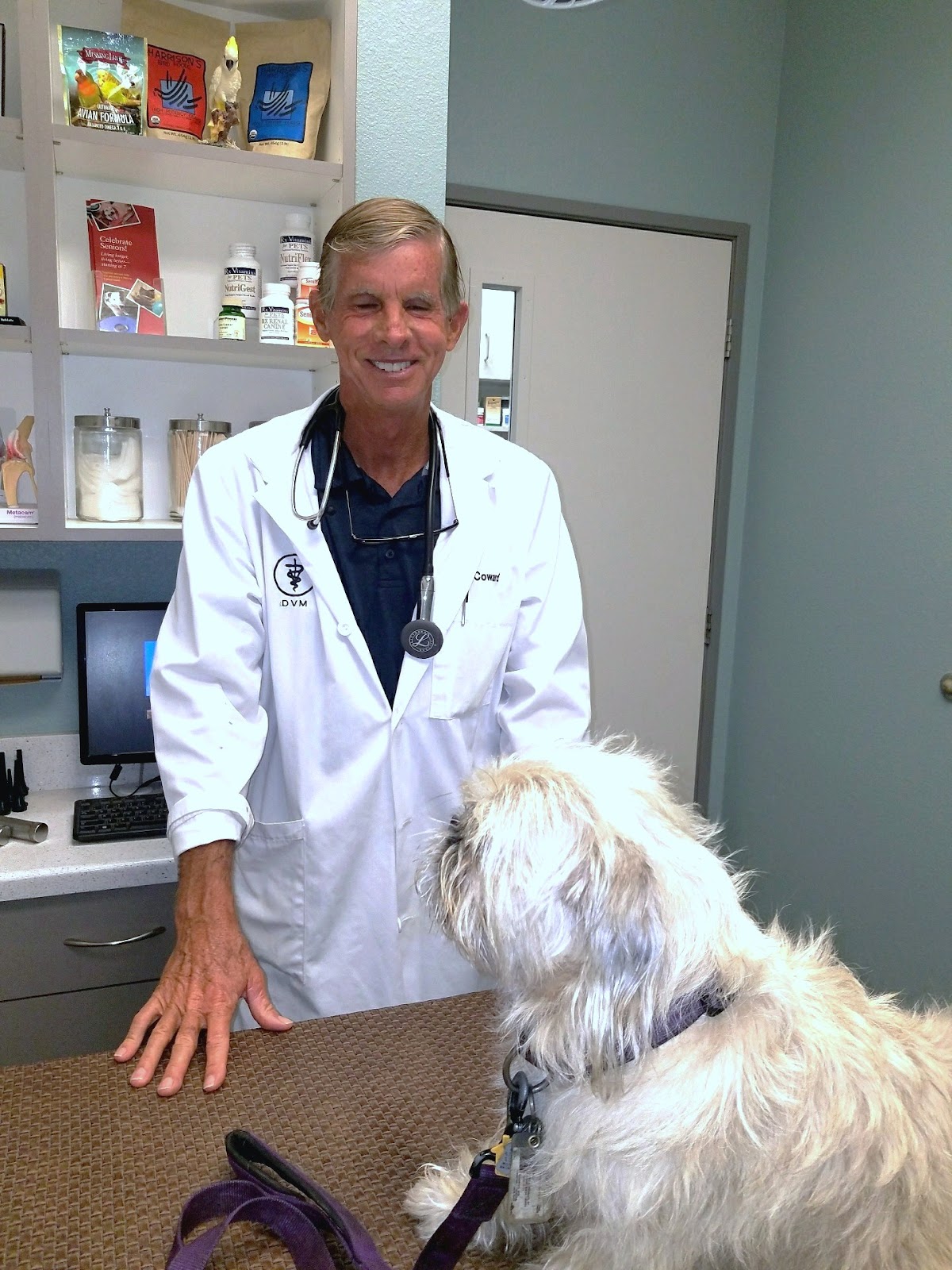 Lobby and waiting room at Animal & Bird Clinic of Mission Viejo