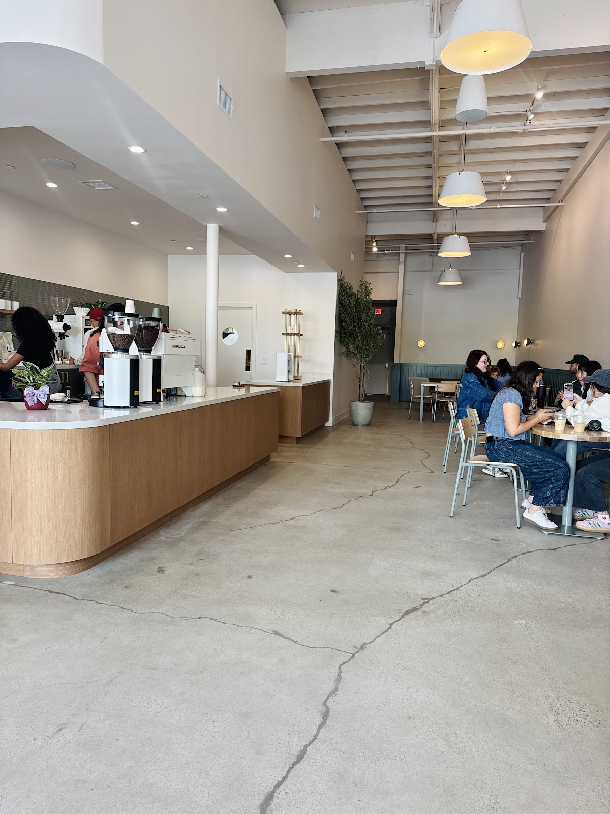 Bright, modern interior of Bird Dog Coffee with a wood counter
