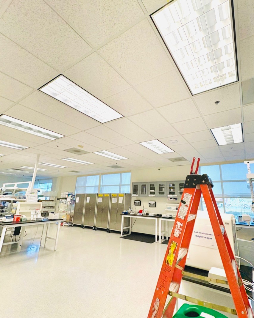 Commercial laboratory ceiling LED retrofit in progress by Gerhard Electric