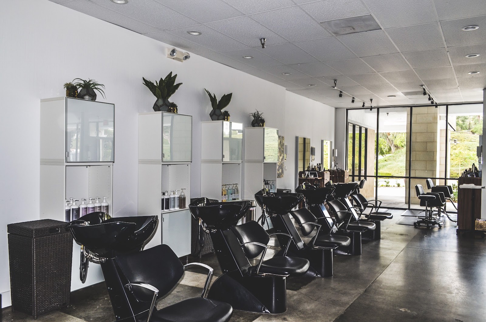 The Gold & Braid salon floor, a row of wash stations beside daylight windows