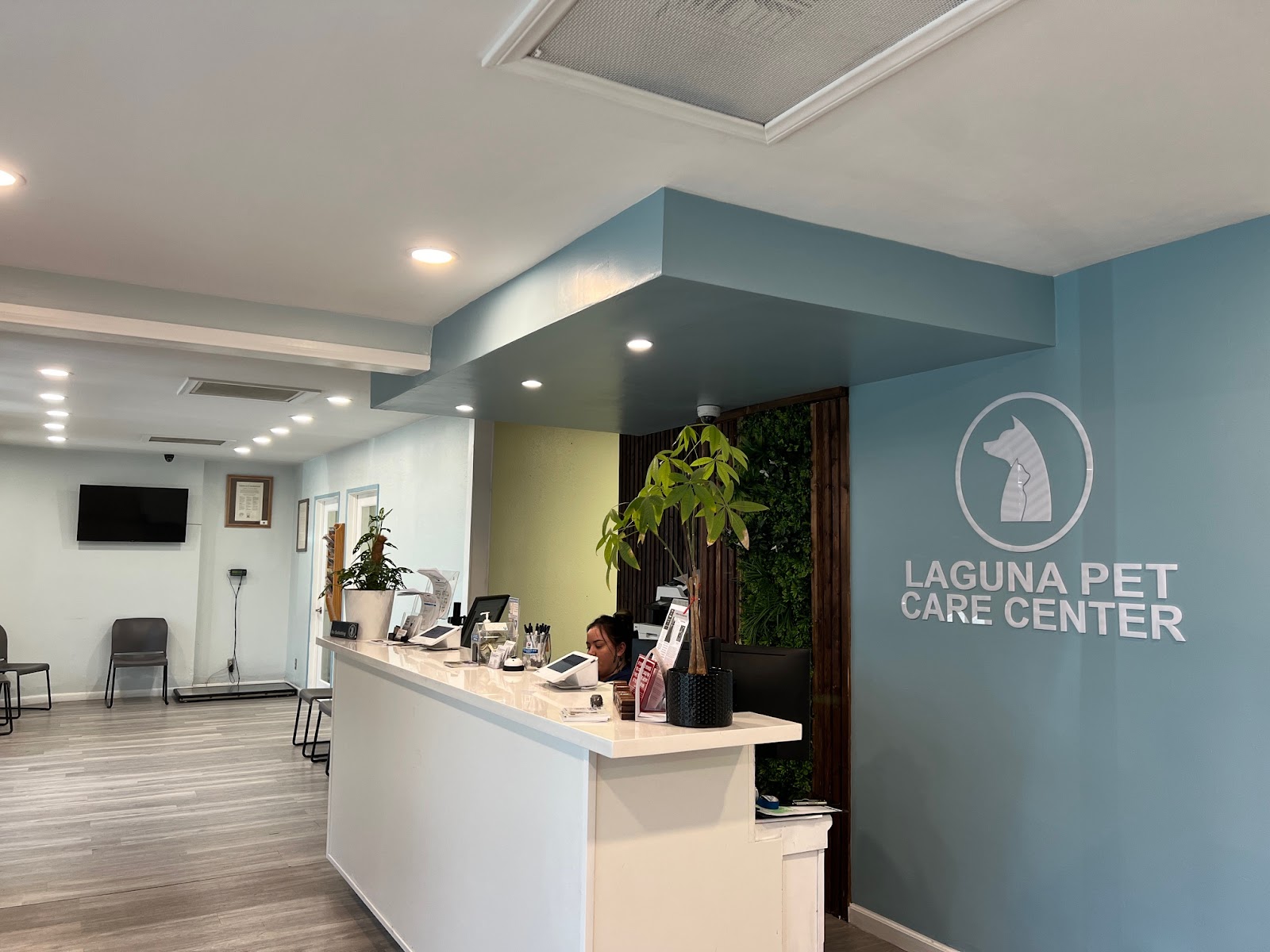 The welcoming front desk at Laguna Pet Care Center