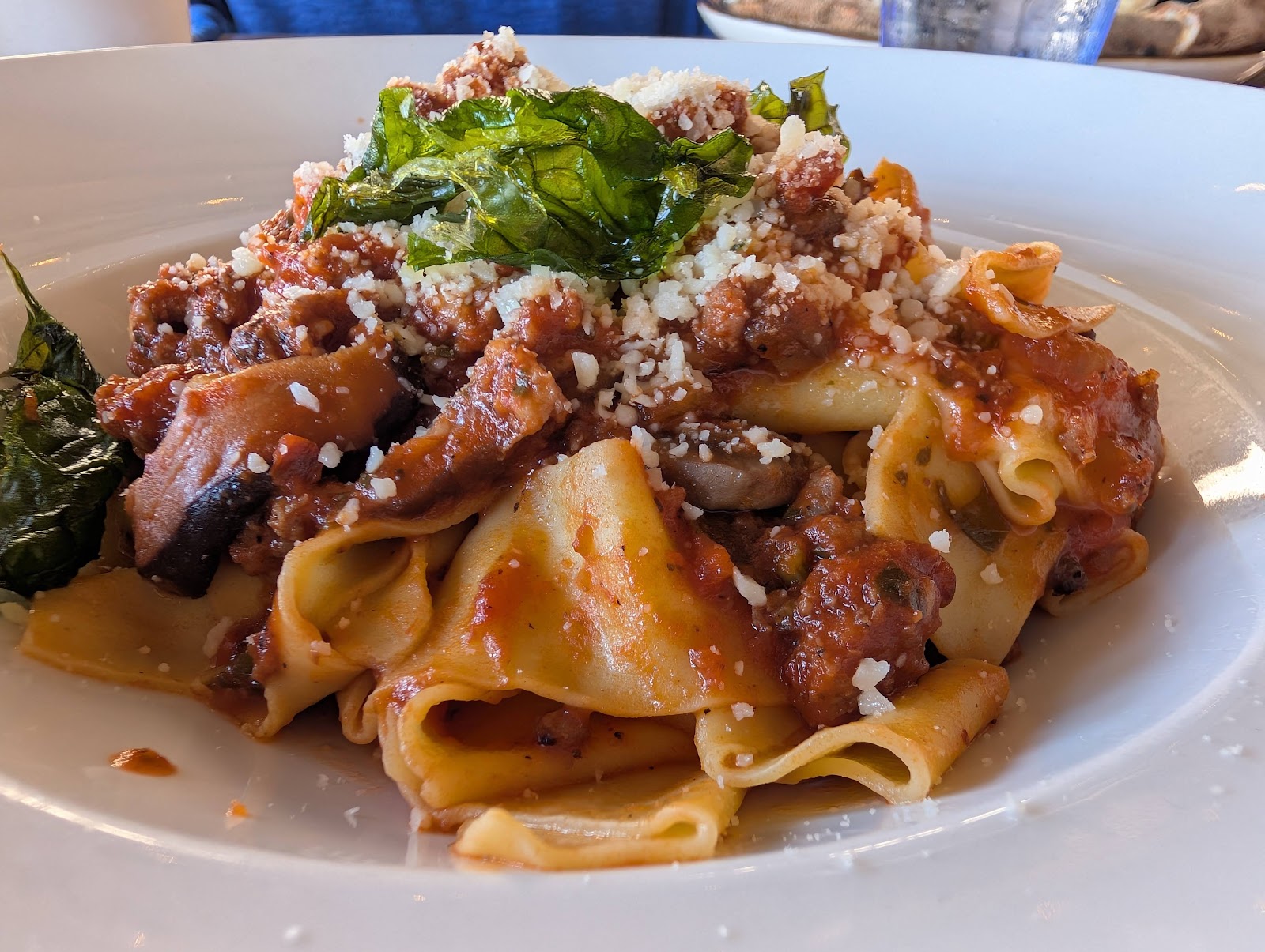 A white bowl of wide ribbon pasta in a rich tomato ragu with braised meat, grated cheese and crisp fried basil