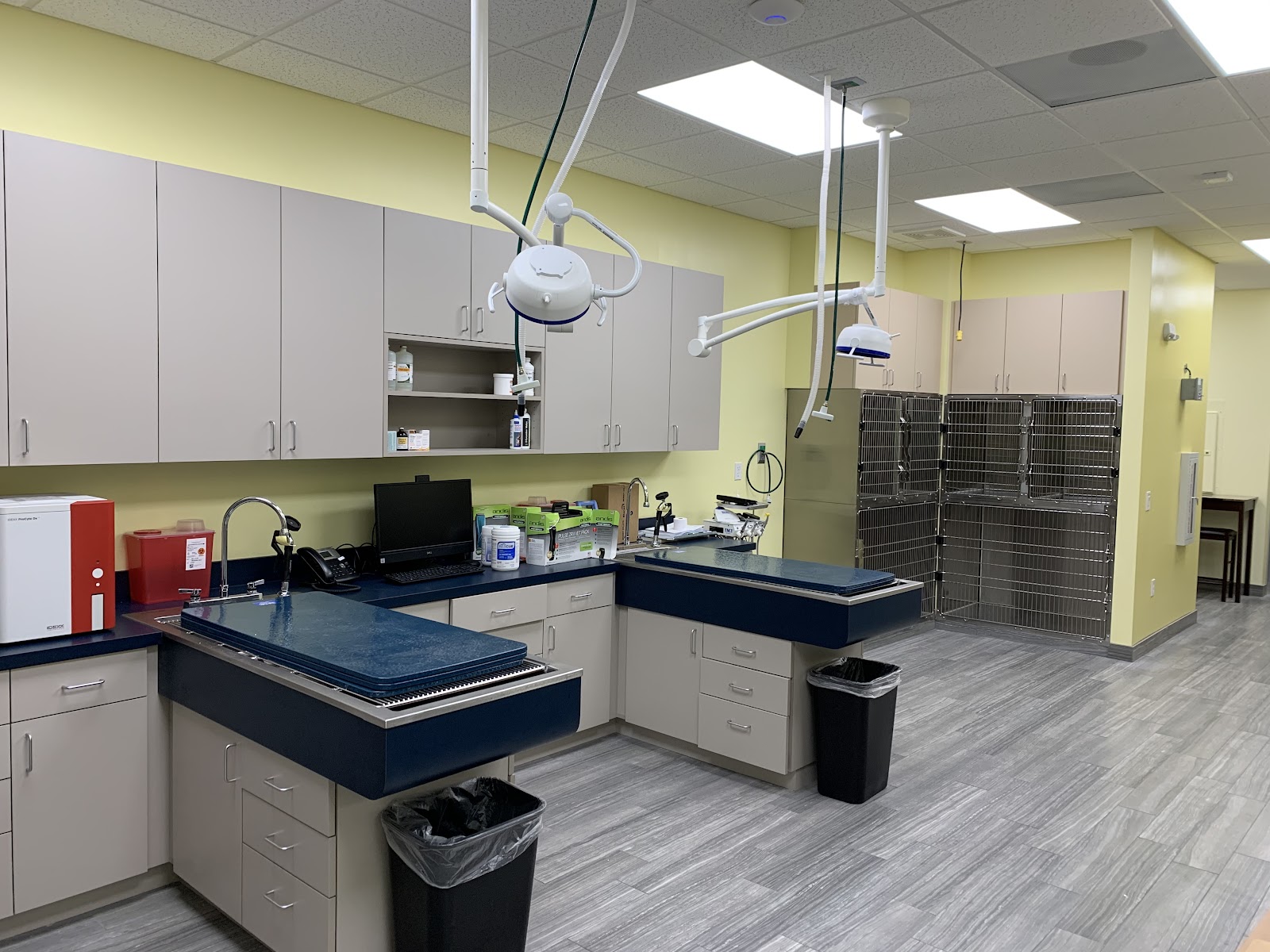 Inside the treatment room at Marguerite Animal Hospital, warm yellow walls and navy countertops
