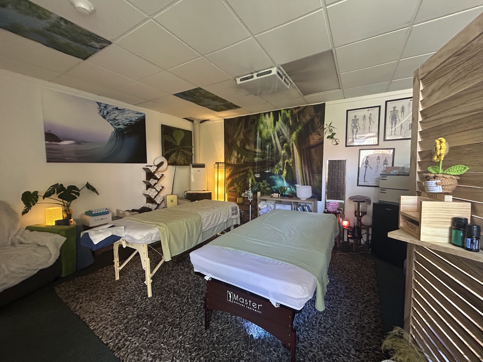 A warm treatment room with plants and art