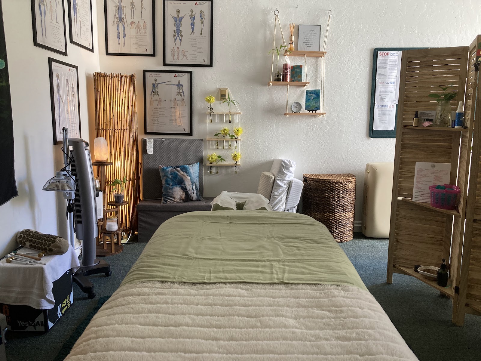 Treatment space with anatomy art and greenery