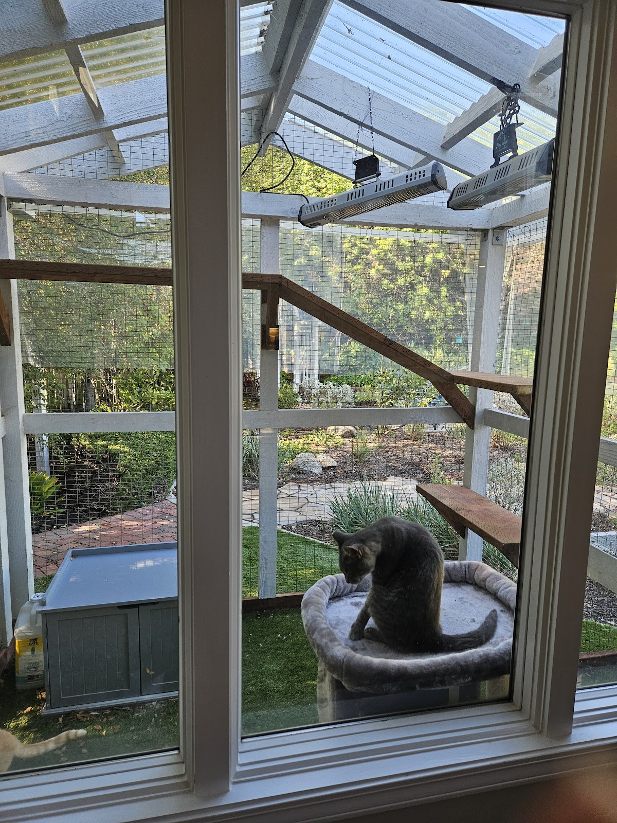 Finished window casing onto the garden catio