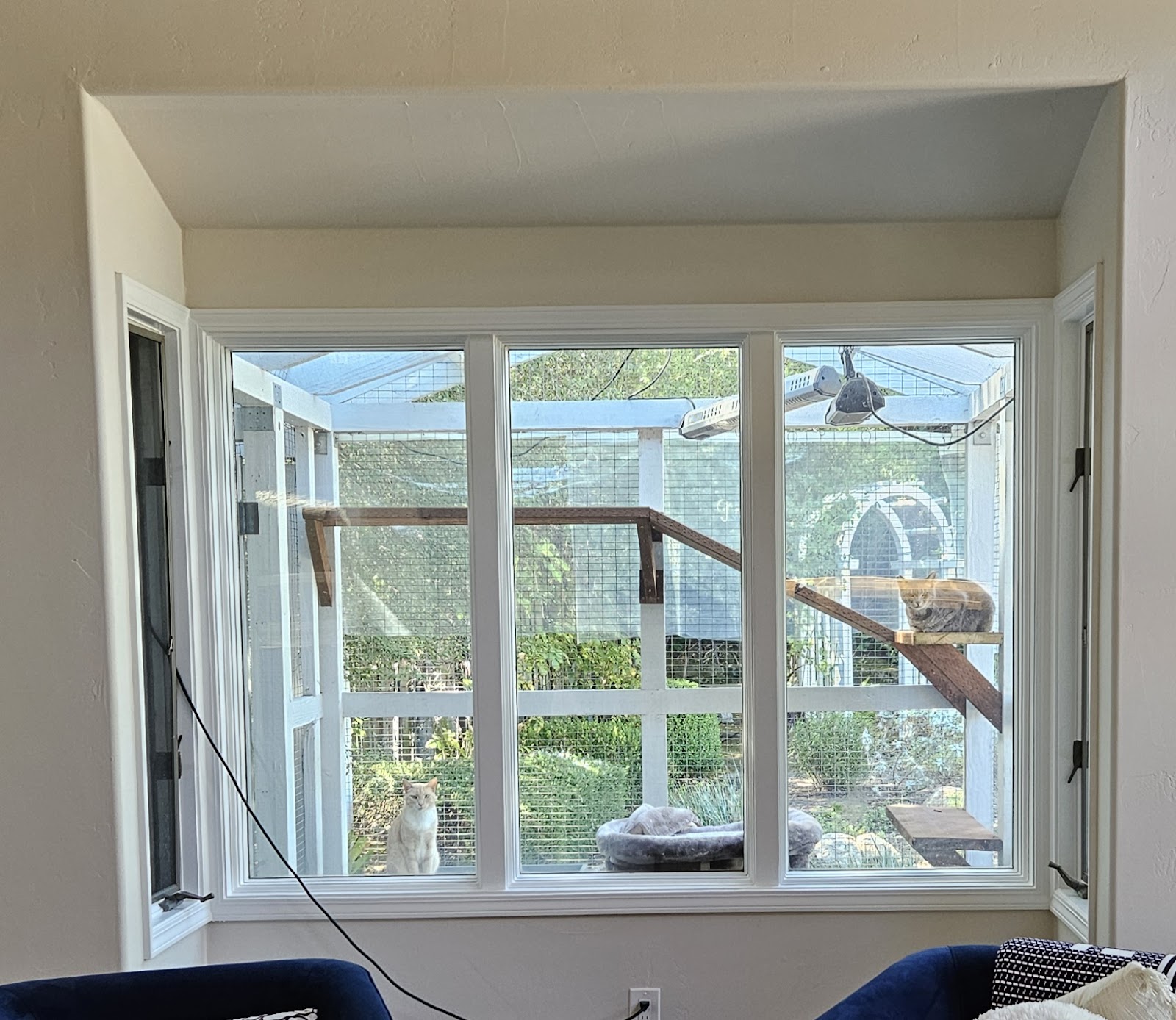 Window trim and framing beside a sunny catio