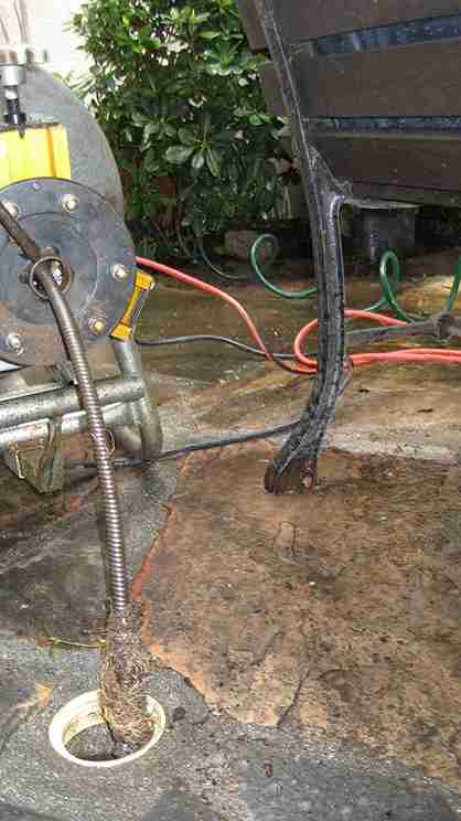 Patriot Plumbing drain machine pulling a heavy tree-root mass out of a cleanout