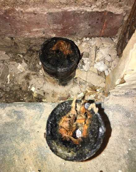 Cleanout and rooter access, opened up