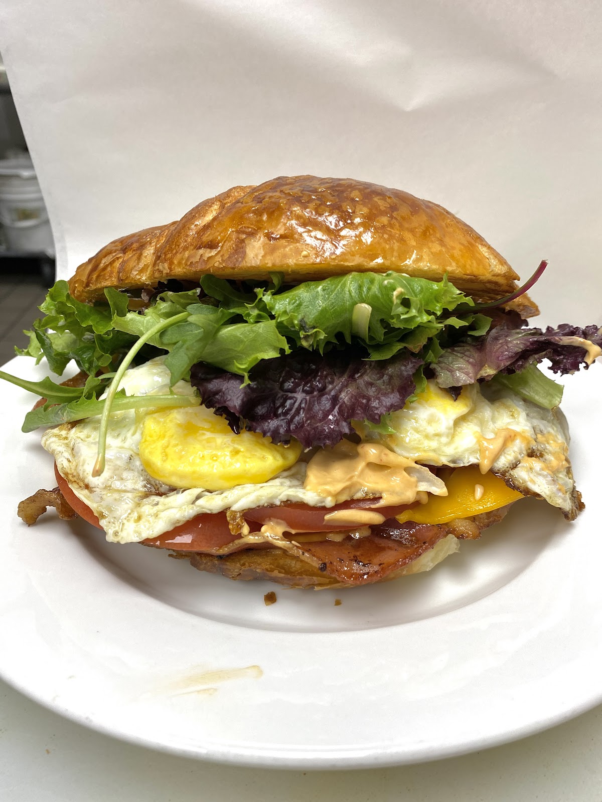A golden croissant breakfast sandwich filled with fried egg, bacon, tomato, mixed greens, and chipotle aioli on a white plate at Rose Cafe