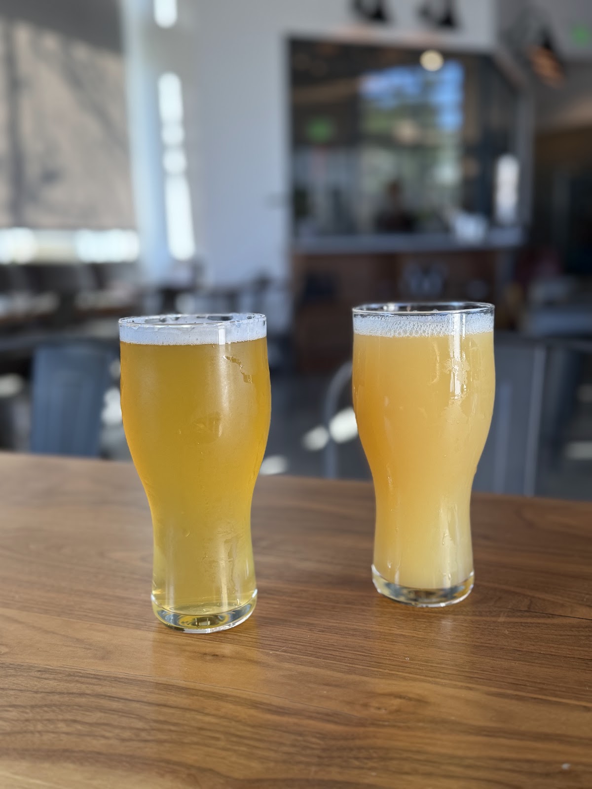 Two hazy ales at Ten Mile Brewing, one bright gold and one cloudy orange, in pint glasses on a walnut taproom table