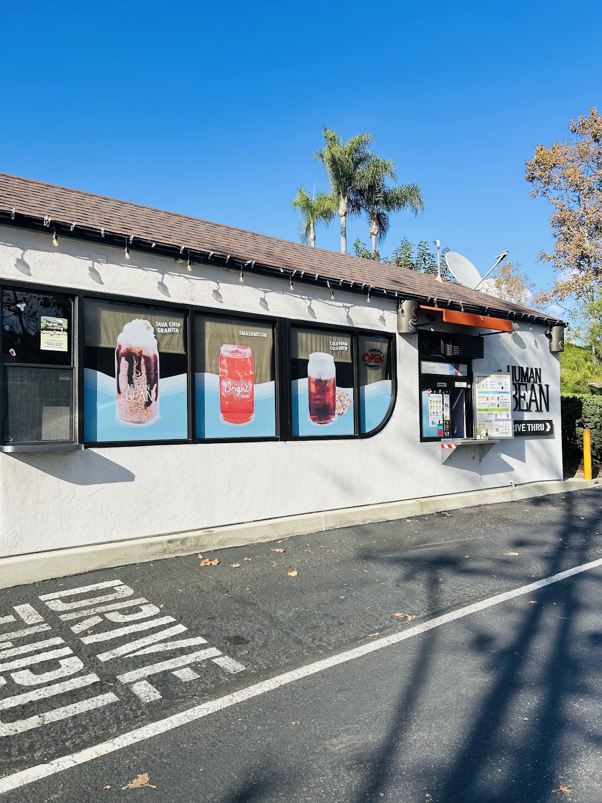 Java Chip Granita, a blended frozen coffee drink with whipped cream pictured on the storefront window decal