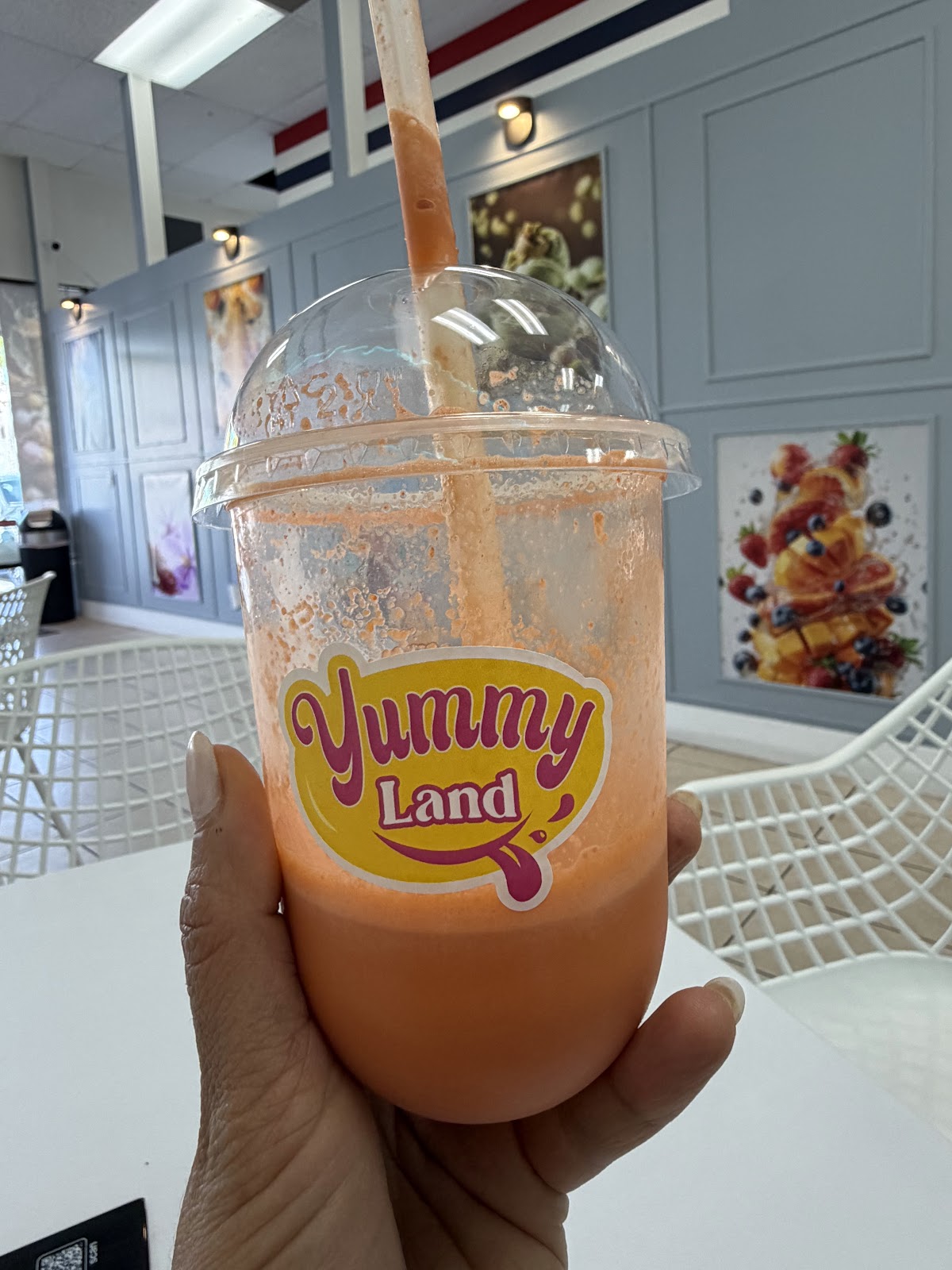 Faloudeh + Single Scoop at Yummy Land. with a scoop on top.